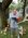 Latest_posts_thumb_avatar-yellow_dog