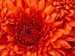Colleague_thumb_avatar-djsimmons