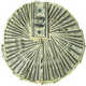 Forum_avatar_avatar-jaham