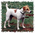 Latest_posts_thumb_avatar-catfishbingo