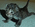 Latest_posts_thumb_avatar-theruizfamily