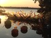 Colleague_thumb_avatar-travisbuyshomes