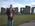 Latest_posts_thumb_avatar-royals33