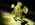 Latest_posts_thumb_avatar-socalreventures