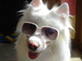 Colleague_thumb_avatar-pickit