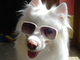 Forum_avatar_avatar-pickit