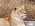 Latest_posts_thumb_avatar-snhill