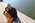 Latest_posts_thumb_avatar-ryanhicks