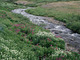 Forum_avatar_avatar-stonecreekfs