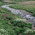 Latest_posts_thumb_avatar-stonecreekfs