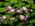 Latest_posts_thumb_avatar-anna_rei