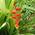 Latest_posts_thumb_avatar-cashflowdepot
