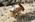 Latest_posts_thumb_avatar-whiskeyone