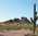 Latest_posts_thumb_avatar-sfcgee