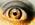 Latest_posts_thumb_avatar-dresendes