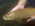 Latest_posts_thumb_avatar-bwrig09