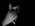 Latest_posts_thumb_avatar-jonnyj
