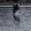 Latest_posts_thumb_avatar-br