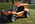 Latest_posts_thumb_avatar-socal_hemihead