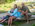 Latest_posts_thumb_avatar-dalanstreet