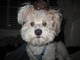 Forum_avatar_avatar-efdevelopment