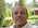 Latest_posts_thumb_avatar-zayedhome