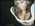 Latest_posts_thumb_avatar-misskyle619