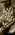 Latest_posts_thumb_avatar-goldeneye_homes