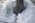 Latest_posts_thumb_avatar-pwingfeild