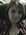 Latest_posts_thumb_avatar-amyairheart