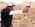 Latest_posts_thumb_avatar-cookiealonzo98