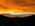 Latest_posts_thumb_avatar-highhorse