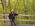 Latest_posts_thumb_avatar-cr8tive