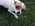 Latest_posts_thumb_avatar-ntuccori
