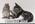 Latest_posts_thumb_avatar-annaw