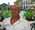 Latest_posts_thumb_avatar-loftbuilder