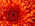 Latest_posts_thumb_avatar-lacy0711
