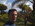 Latest_posts_thumb_avatar-adamstern00