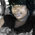 Latest_posts_thumb_avatar-tursheca_f