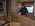 Latest_posts_thumb_avatar-dickny1e
