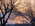 Latest_posts_thumb_avatar-ksj1010