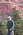 Latest_posts_thumb_avatar-wynnwynn