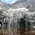Latest_posts_thumb_avatar-ants