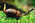 Latest_posts_thumb_avatar-acorntooaktree