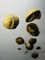 Colleague_thumb_avatar-andrearf
