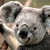 Comment_thumb_avatar-previewstay