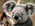 Latest_posts_thumb_avatar-themachete