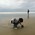 Latest_posts_thumb_avatar-jerrysd