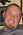 Latest_posts_thumb_avatar-brentcarlson