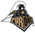 Latest_posts_thumb_avatar-resilient1